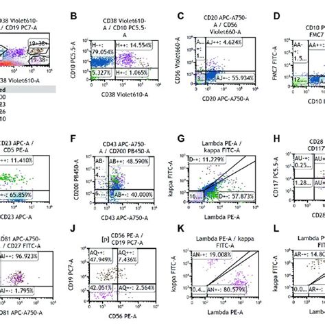 Representative Images Of Multiparameter Flow Cytometry Analysis Of The