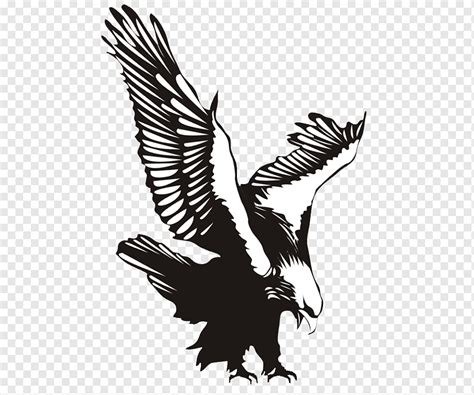 Трафарет орла на стену (45 фото) » Шаблоны для вырезания и векторы для ...