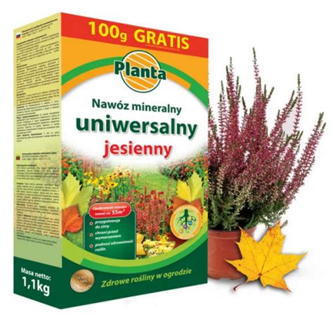 Nawóz Planta JESIENNY uniwersalny 1 kg 100g GRATIS kup z dostawą w