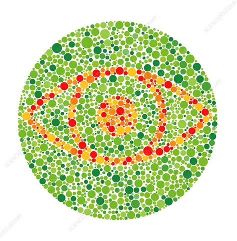 Colour blindness test - Stock Image - M450/0288 - Science Photo Library