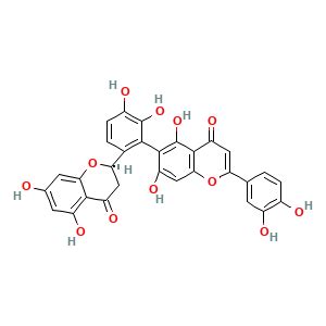 CAS号 6 6 2R 5 7 dihydroxy 4 oxo 2 3 dihydrochromen 2 yl 2 3