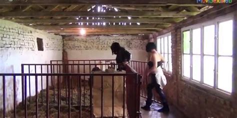 BBW Ariel Lovely Tnaflix