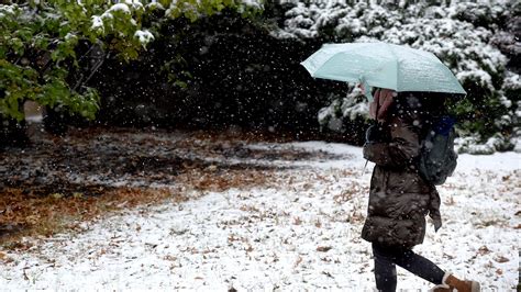 Columbia may see 6-12 inches of snow in Missouri's winter storm