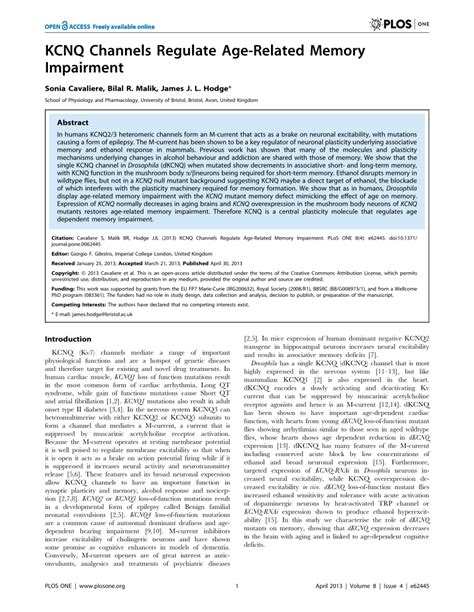 PDF KCNQ Channels Regulate Age Related Memory Impairment