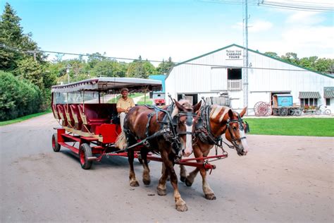 Mackinac Island Carriage Tours What To Expect On The Tour