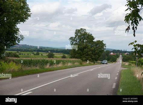 Hiking In Alsace With Vinewyard Views In France Vacation Stock Photo