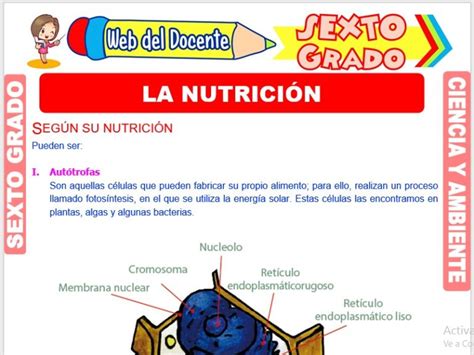 La Nutrici N Para Sexto Grado De Primaria Web Del Docente