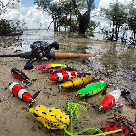 As Melhores Iscas Artificiais Para A Temporada 2020 2021 Laus Pesca