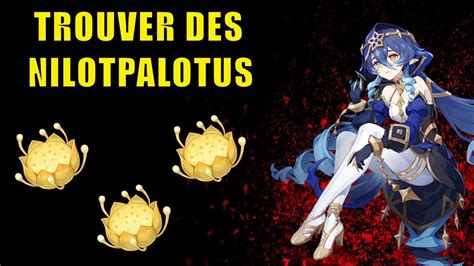 TROUVER DES NILOTPALOTUS Tuto Genshin Impact YouTube