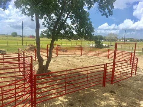 Custom Cattle Handling System 4 | BrinTough Equipment, Inc. Texas