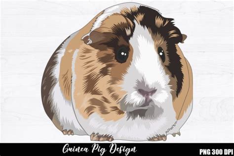 Guinea Pig Sublimation Graphic By Withoutdreamsplease · Creative Fabrica