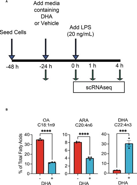 Frontiers Single Cell Analysis Of Docosahexaenoic Acid Suppression Of