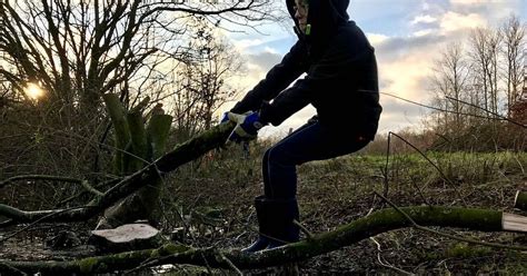 Kinder werkeln im Wald Förderung für Projektarbeit der Schule