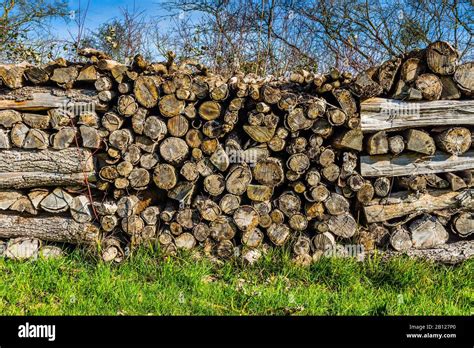 Stack Of Oak Logs Drying For Domestic Heating Fuel Indre Et Loire