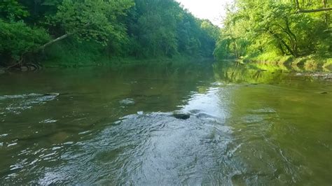 Wading A Beautiful Creek For Smallmouth Bass Ohio Creek Fishing Youtube