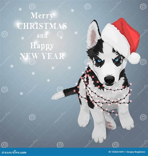 Christmas Husky Puppy Stock Vector Illustration Of Santas 103661049