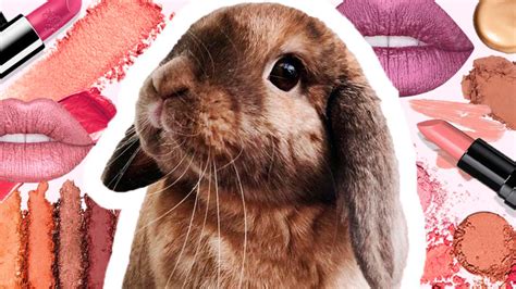 C Mo Saber Que Tu Maquillaje Es Libre De Crueldad Marcas Cruelty Free