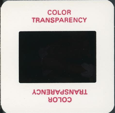 Z Original Mm Slide Pin Up Vintage Beauty Model Posing Nude Risque S S EBay