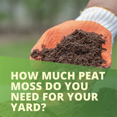 Determining Peat Moss Quantity