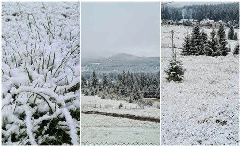 Foto Prima Ninsoare Din Acest Sezon N Mun Ii Apuseni La V Rtop I