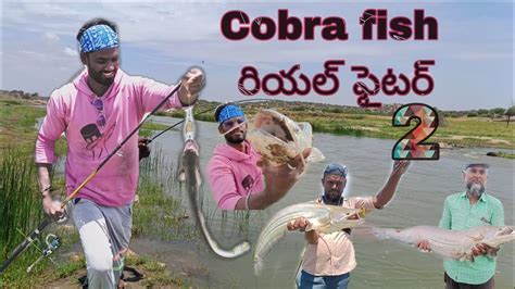 Fish మరి ఇంత పెద్ద చేప చూసారా చాలా పెద్ద డ్యాం అందులో చేపలు చాలా