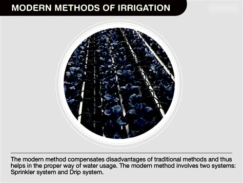 Modern Methods of Irrigation: Sprinkler and Drip Systems