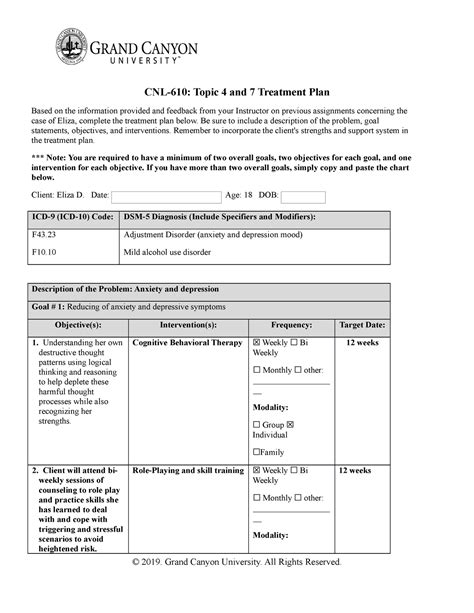 CNL 610 RS T4and T7Treatment Plan CNL 610 Topic 4 And 7 Treatment