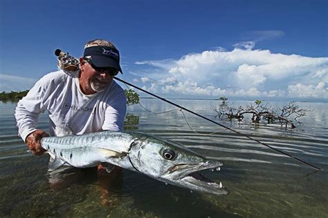 Fish Facts: Grand Barracuda (Sphyraena barracuda) - Orvis News