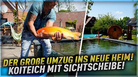 Ein GROßER Koi Umzug Der NEUE 54 000 Liter Koiteich mit SICHTSCHEIBE