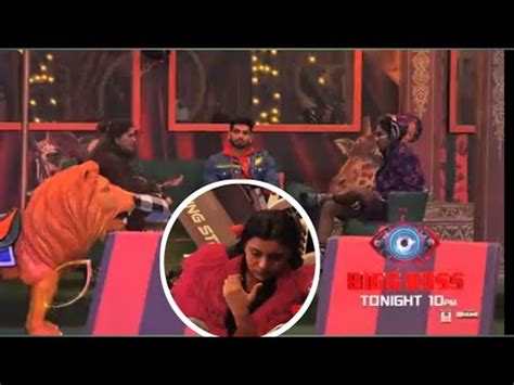 Bigg Boss 16 Promo Sumbul Ke Khilaf Mandali Bole Victim Card Khelti