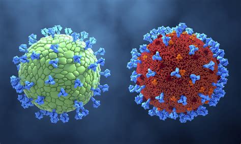 Covid Nuovi Casi E Decessi Latina Tu