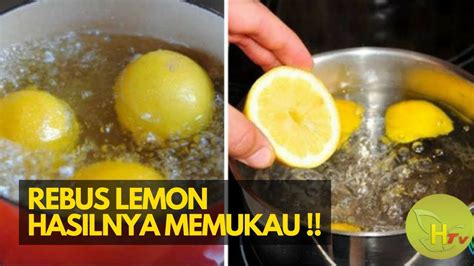 Memukau Ini Manfaat Minum Rebusan Lemon Dipagi Hari Youtube