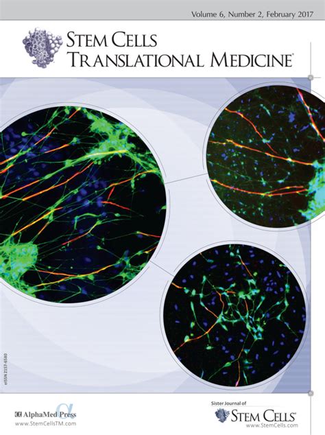 Stem Cells Translational Medicine Vol No