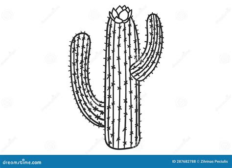 Cactus Svg Cactus Clipart Cactus Schnitt File Cactus Vektor Cactus