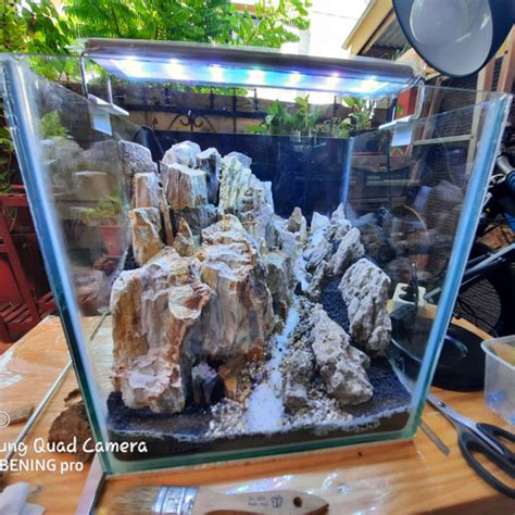 Jual Aquascape Full Set Tebing Custom 30x25x30 Cm Tanpa Tanaman