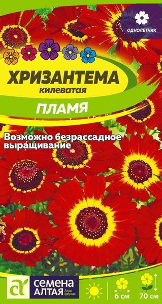 Хризантемы однолетние Семена Алтая Хризантемы однолетние - купить по ...
