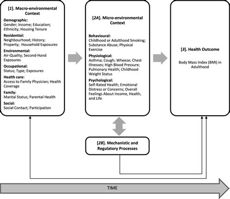 Graphical Representation Of The Life Course Health Development Lchd