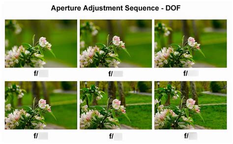 Depth Of Field Diagram Quizlet