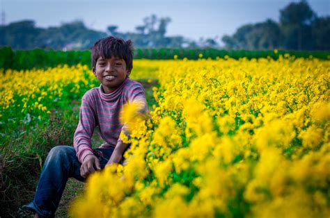 Wallpaper Landscape Colorful People Eyes Flowers Garden Street