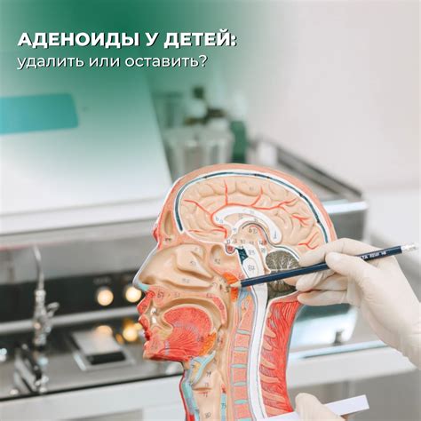 Медицинский центр АльфаМед | Минск | Анализы | УЗИ | Врачи