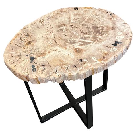 Petrified Wood Side Tables At Stdibs