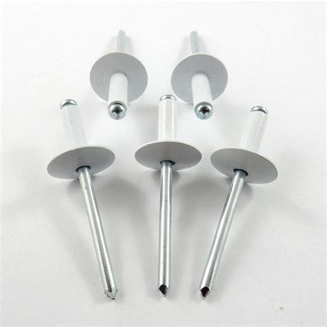 3 16 Large Head White Rivet 250 Pack Bullant Performance Products