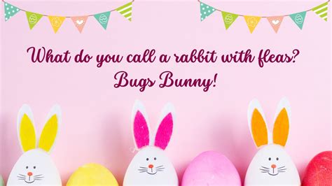 50+ Funniest Easter Jokes for Adults for Endless Giggling