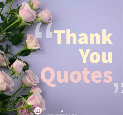 Top 15 Thank You Quotes To Express Gratitude | Wanna Wish