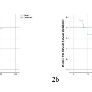 A Overall Survival Curve In Patients Treated With TME OS 77 9