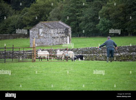 The Annual Muker Agriculture Show Muker Swaledale Yorkshire Dales