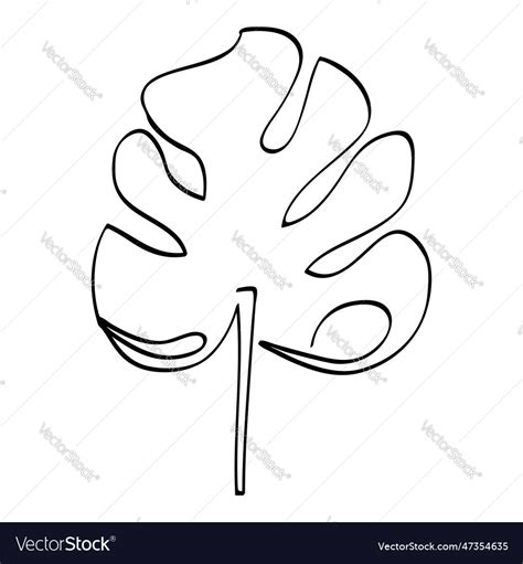 Monstera leaf in simple sketch single Royalty Free Vector