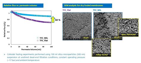 Membranes Free Full Text Influence Of Surface Micro Patterning And Hydrogel Coating On