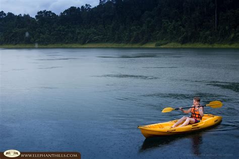 Rainforest Camp - Elephant Hills Rainforest Camp