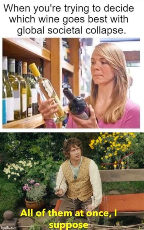 Which wine? - Imgflip 